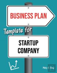 Business Plan Template For Startup Company