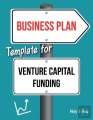 Business Plan Template For Venture Capital Funding