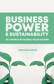 Business, Power And Sustainability In A World Of Global Value Chains