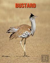 Bustard