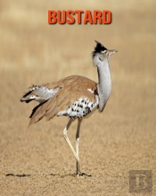 Bustard