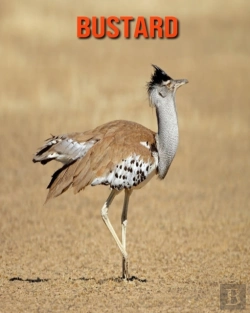 Bertrand.pt - Bustard