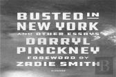 Busted In New York & Other Essays