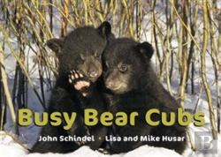 Bertrand.pt - Busy Bear Cubs