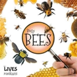Bertrand.pt - Busy Bees