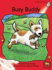 Busy Buddy