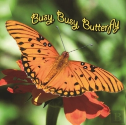 Bertrand.pt - Busy, Busy Butterfly