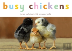 Bertrand.pt - Busy Chickens