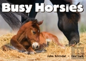 Busy Horsies