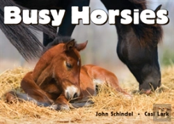 Bertrand.pt - Busy Horsies