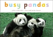Busy Pandas