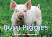 Busy Piggies