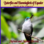 Butterflies And Hummingbirds Of Ecuador