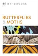 Butterflies And Moths