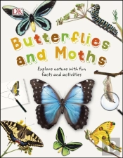 Butterflies And Moths