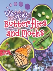 Butterflies And Moths