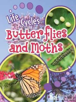 Bertrand.pt - Butterflies And Moths