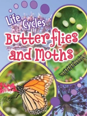 Butterflies And Moths