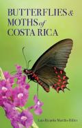 Butterflies And Moths Of Costa Rica