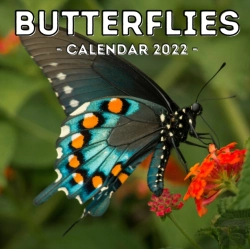Bertrand.pt - Butterflies Calendar 2022