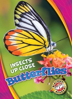 Bertrand.pt - Butterflies