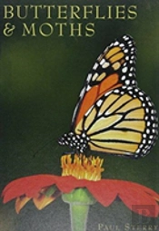 Butterflies & Moths