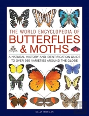 Butterflies & Moths, The World Encyclopedia Of