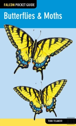 Bertrand.pt - Butterflies & Moths