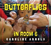 Butterflies In Room 6