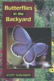 Butterflies In The Backyard