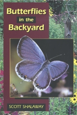 Bertrand.pt - Butterflies In The Backyard