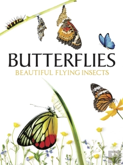 Bertrand.pt - Butterflies