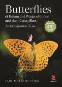 Butterflies Of Britain And Western Europe And Their Caterpillars