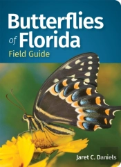 Butterflies Of Florida Field Guide
