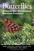 Butterflies Of Maine And The Canadian Maritime Provinces