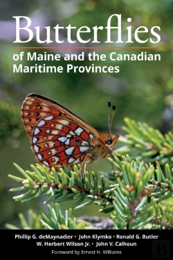 Bertrand.pt - Butterflies Of Maine And The Canadian Maritime Provinces