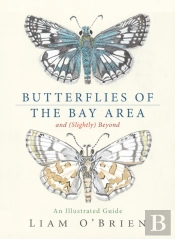 Butterflies Of The Bay Area And (Slightly) Beyond