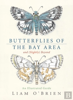 Bertrand.pt - Butterflies Of The Bay Area And (Slightly) Beyond