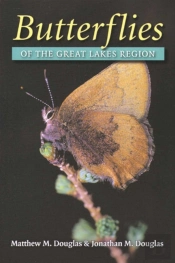 Butterflies Of The Great Lakes Region