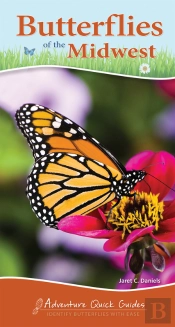Butterflies Of The Midwest
