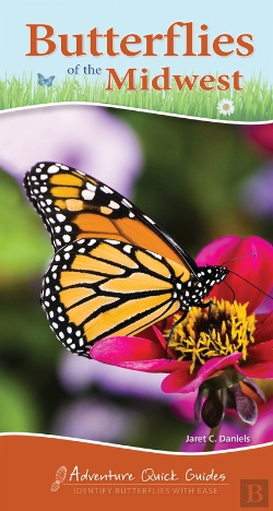 Bertrand.pt - Butterflies Of The Midwest