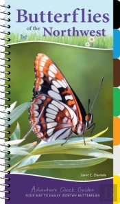 Butterflies Of The Northwest