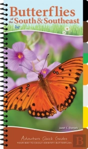 Butterflies Of The South & Southeast