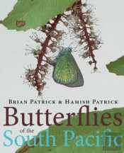 Butterflies Of The South Pacific