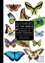 Butterflies Of The World