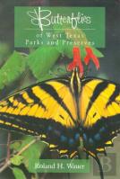 Butterflies Of West Texas Parks And Preserves