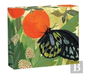 Butterflies Quicknotes