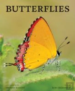 Bertrand.pt - Butterflies