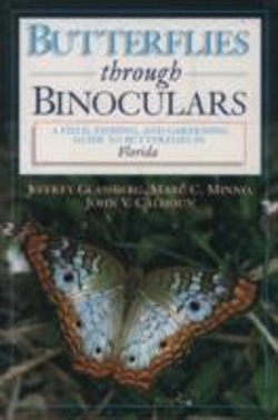 Bertrand.pt - Butterflies Through Binoculars: Florida