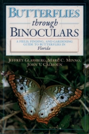 Butterflies Through Binoculars